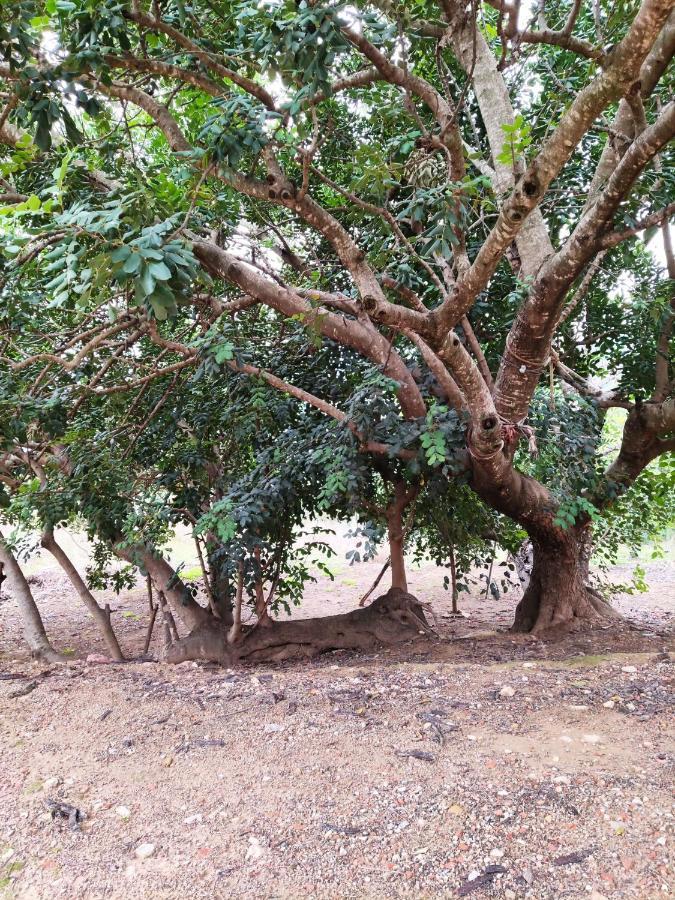 La Rueda Apartamentos Rurales Chulilla Exteriör bild